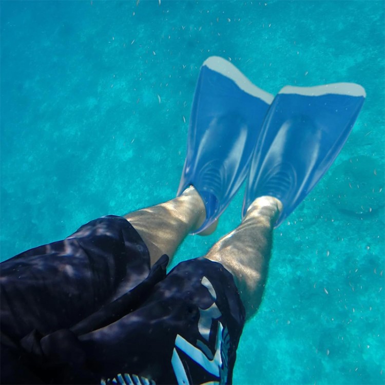 Universal dolphin tail floating adult diving fins